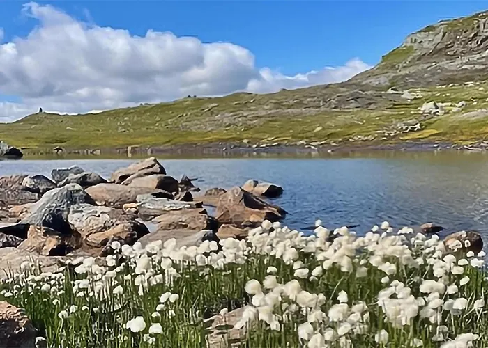 Lovely In Voringsfoss With Sauna