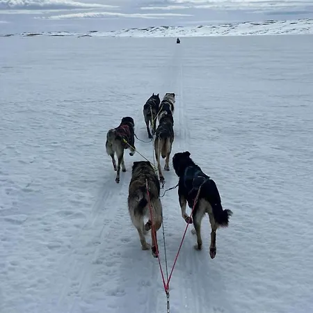Lovely In Voringsfoss With Sauna Дом отдыха Maurset
